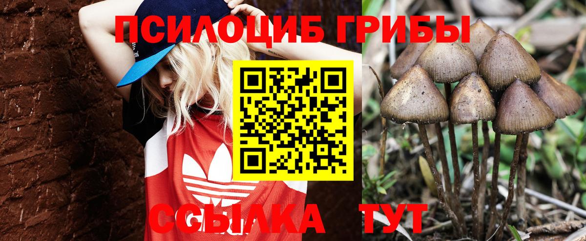 Галлюциногенные грибы Cubensis Альметьевск