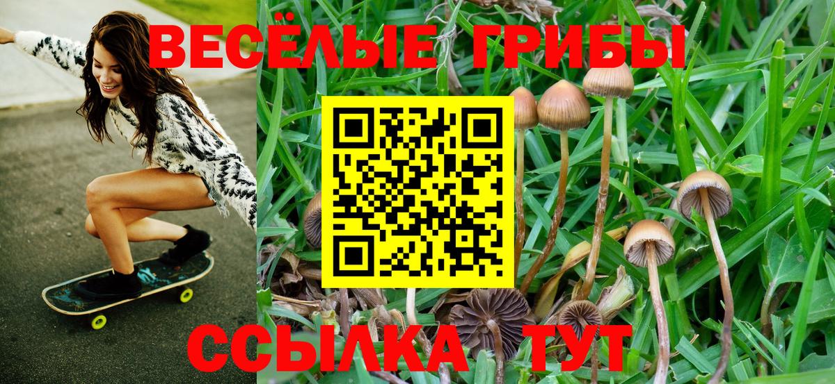 Галлюциногенные грибы ЛСД  Вход с VPN  Альметьевск 